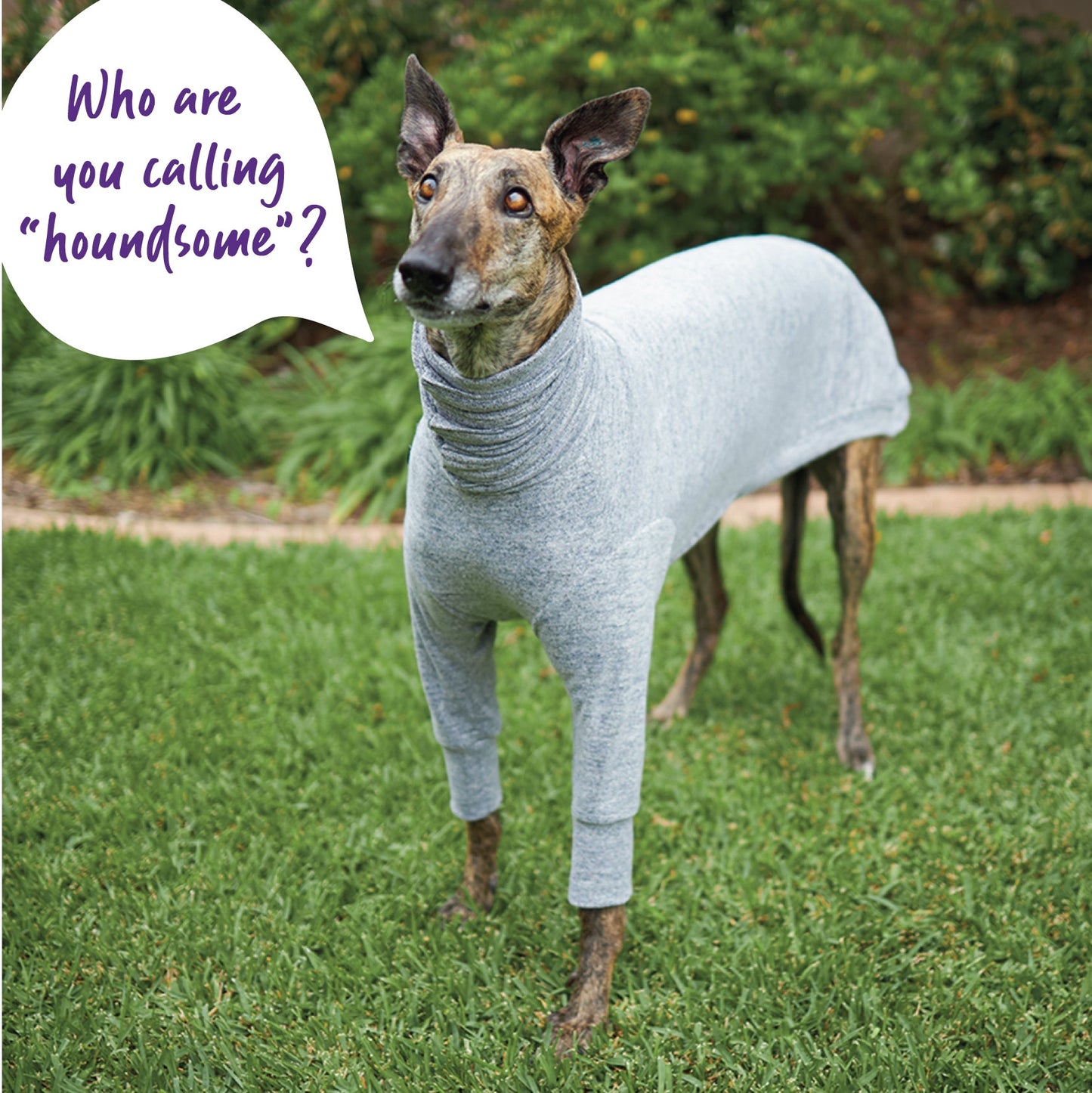 Greyhound Softie Jumper - Grey
