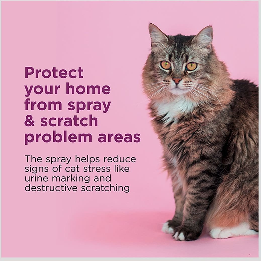 Comfort Zone Spray & Scratch Control Calming Spray for Cats