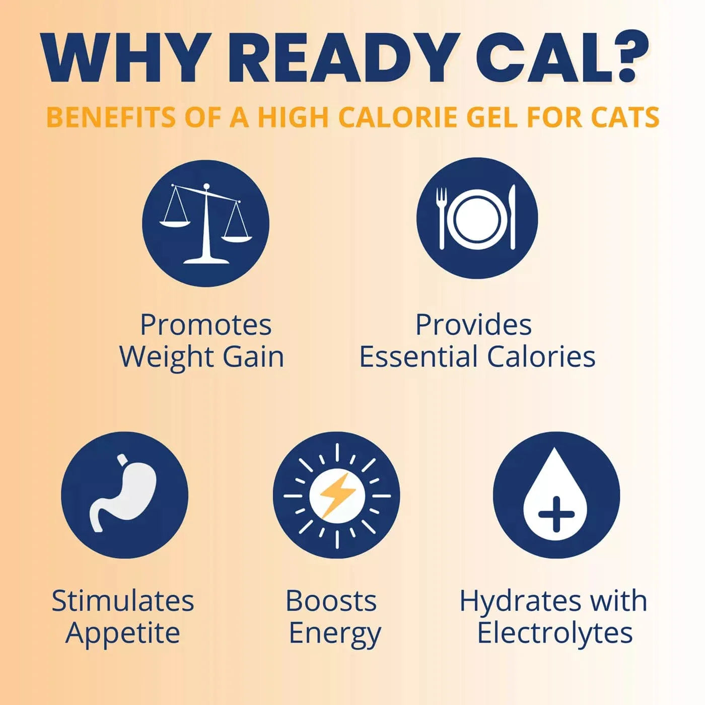 Under the Weather Ready Cal Plus Cat Electrolytes High-Calorie Supplement